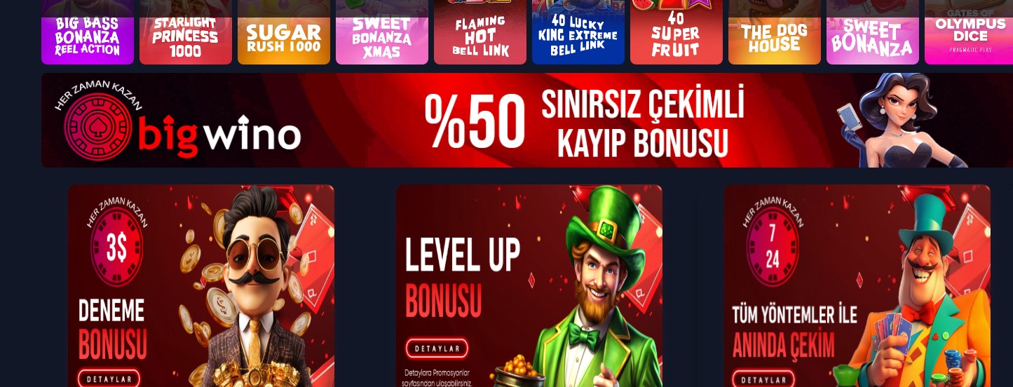 Bigwino Güncel Giriş